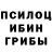 Псилоцибиновые грибы прущие грибы 12 588