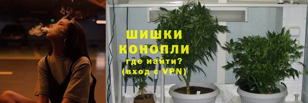 СК Михайлов
