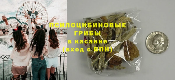 гидра Алзамай