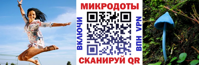 Псилоцибиновые грибы Psilocybine cubensis  blacksprut   Апшеронск 