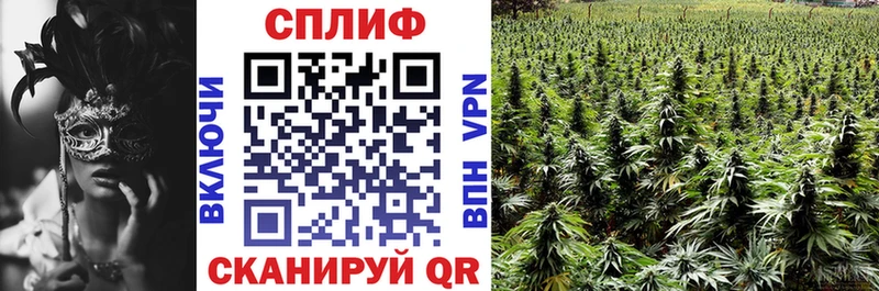маркетплейс клад Апшеронск Шишки марихуана индика blacksprut сайт